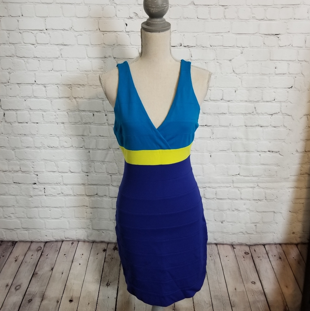 Express Sleeveless Mini Fitted Cocktail Dress